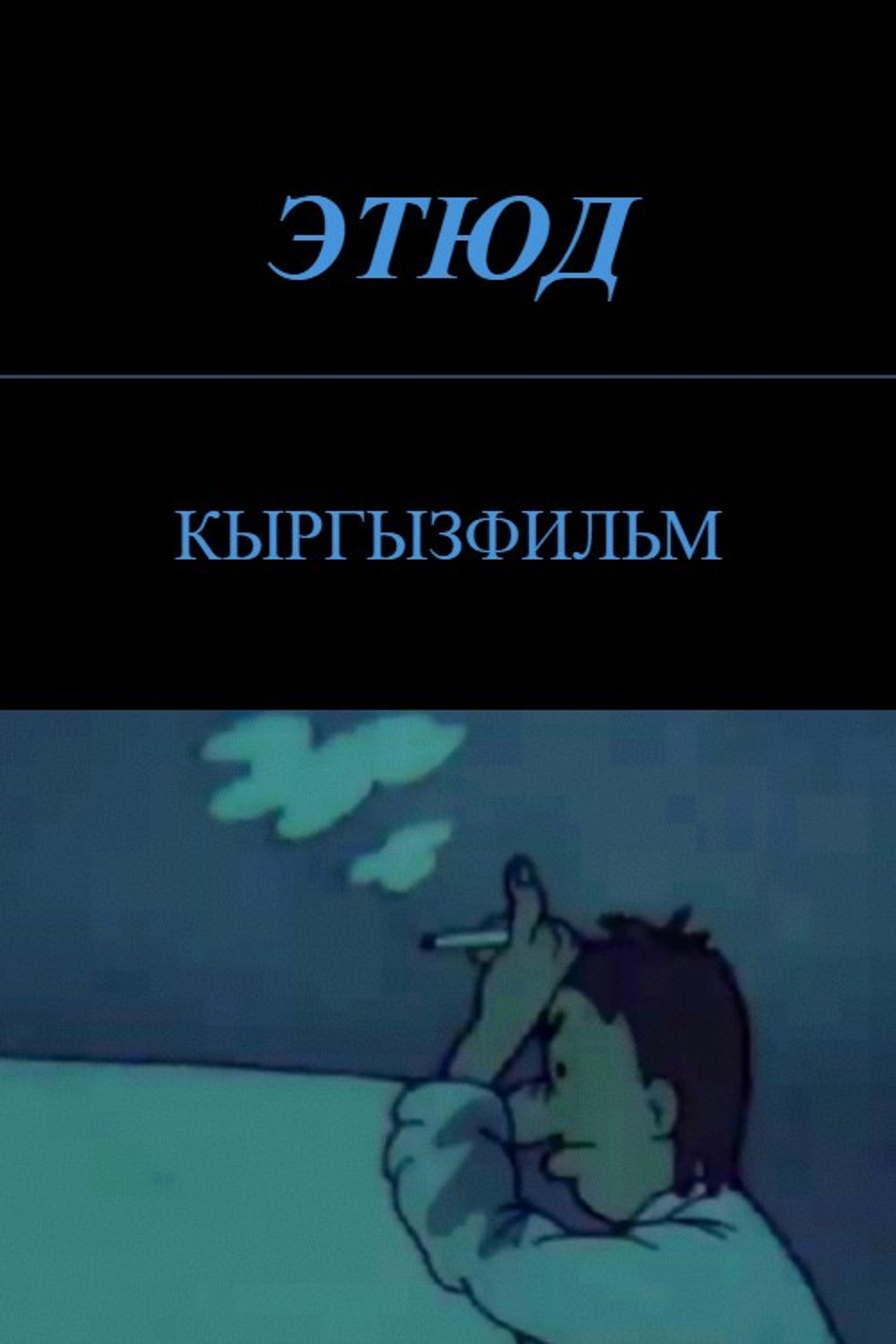 The Study