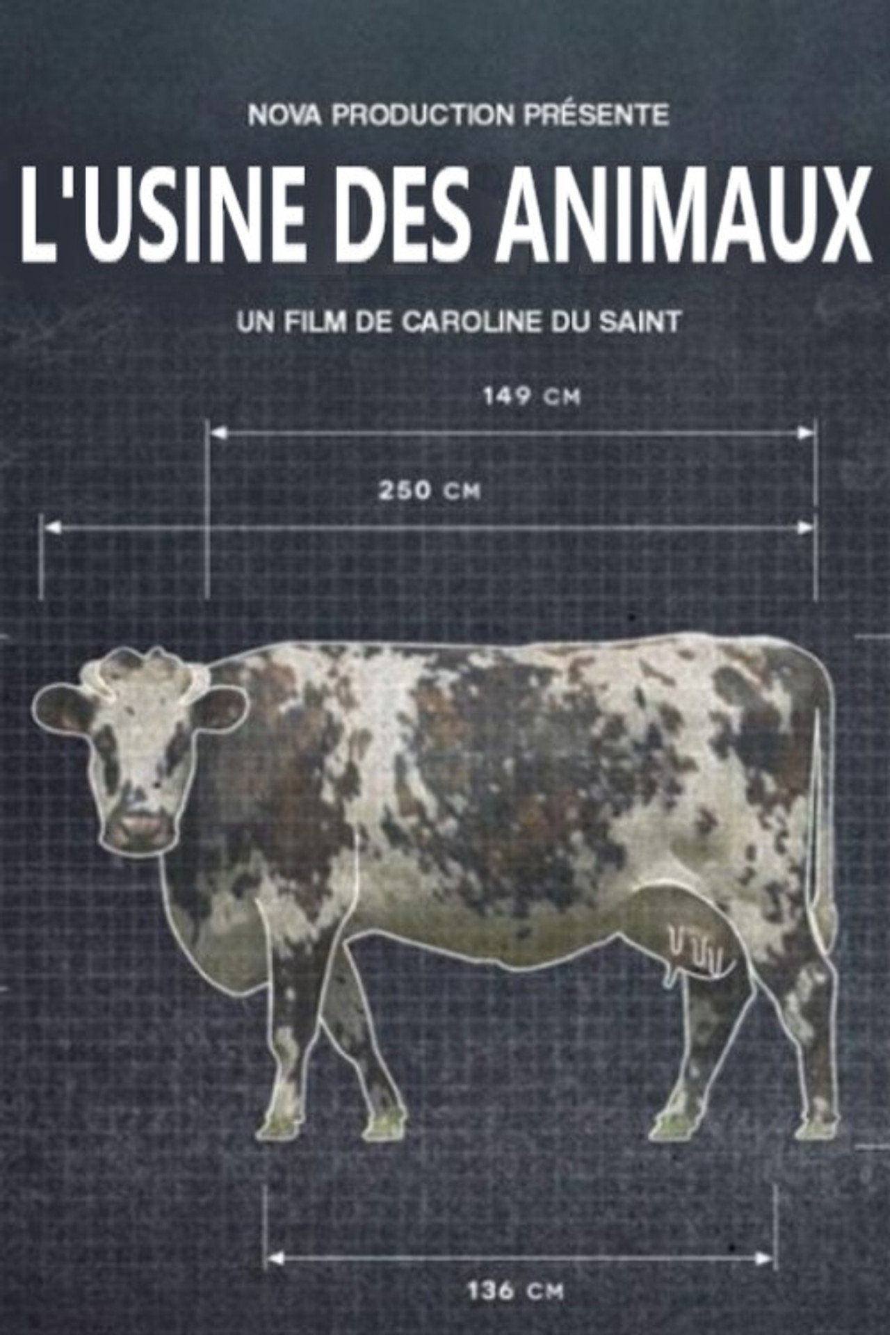 L'usine des animaux filmaffisch