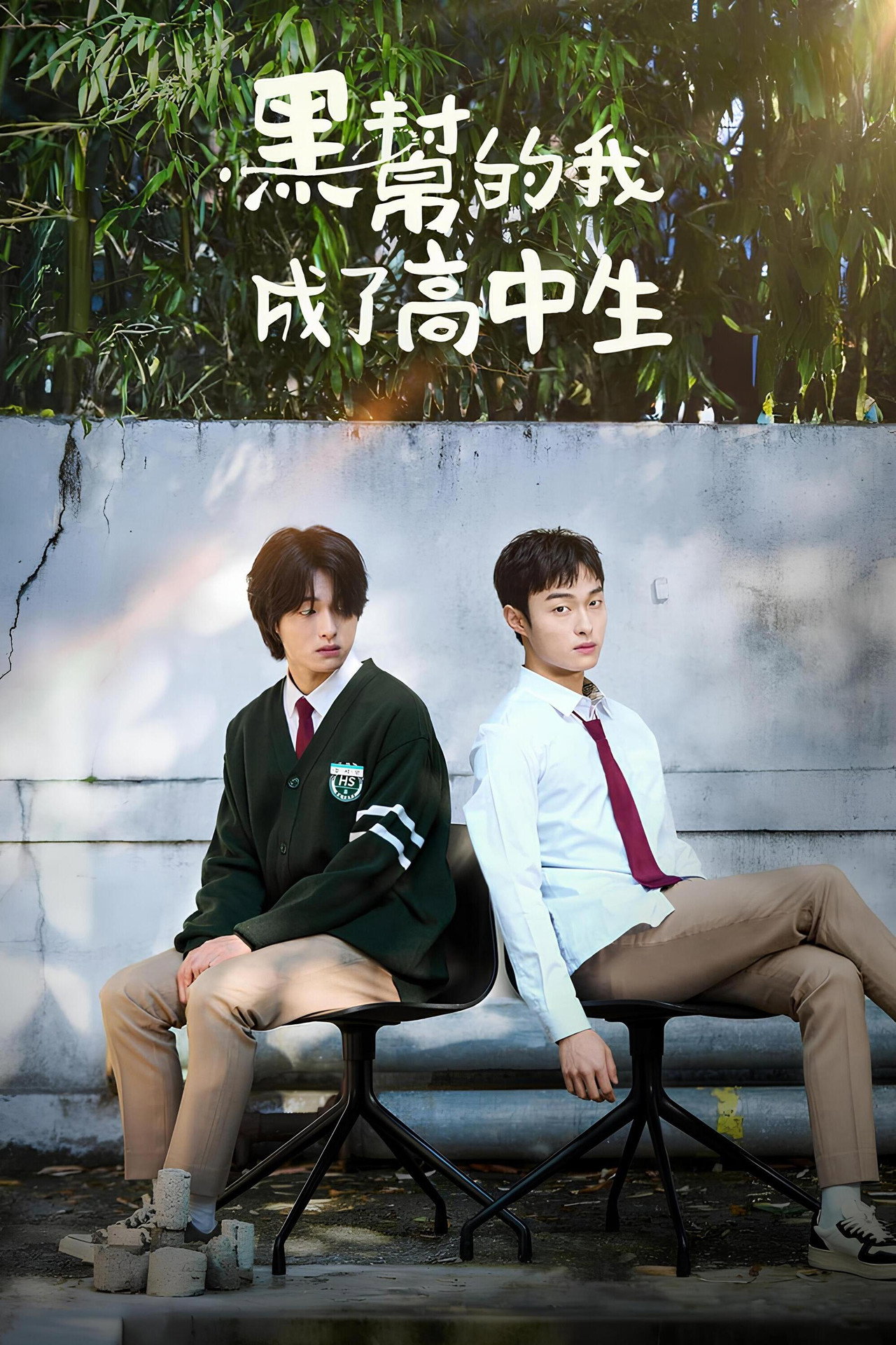 High School Return of a Gangster (2025) Hindi Season 1 Complete backdrop