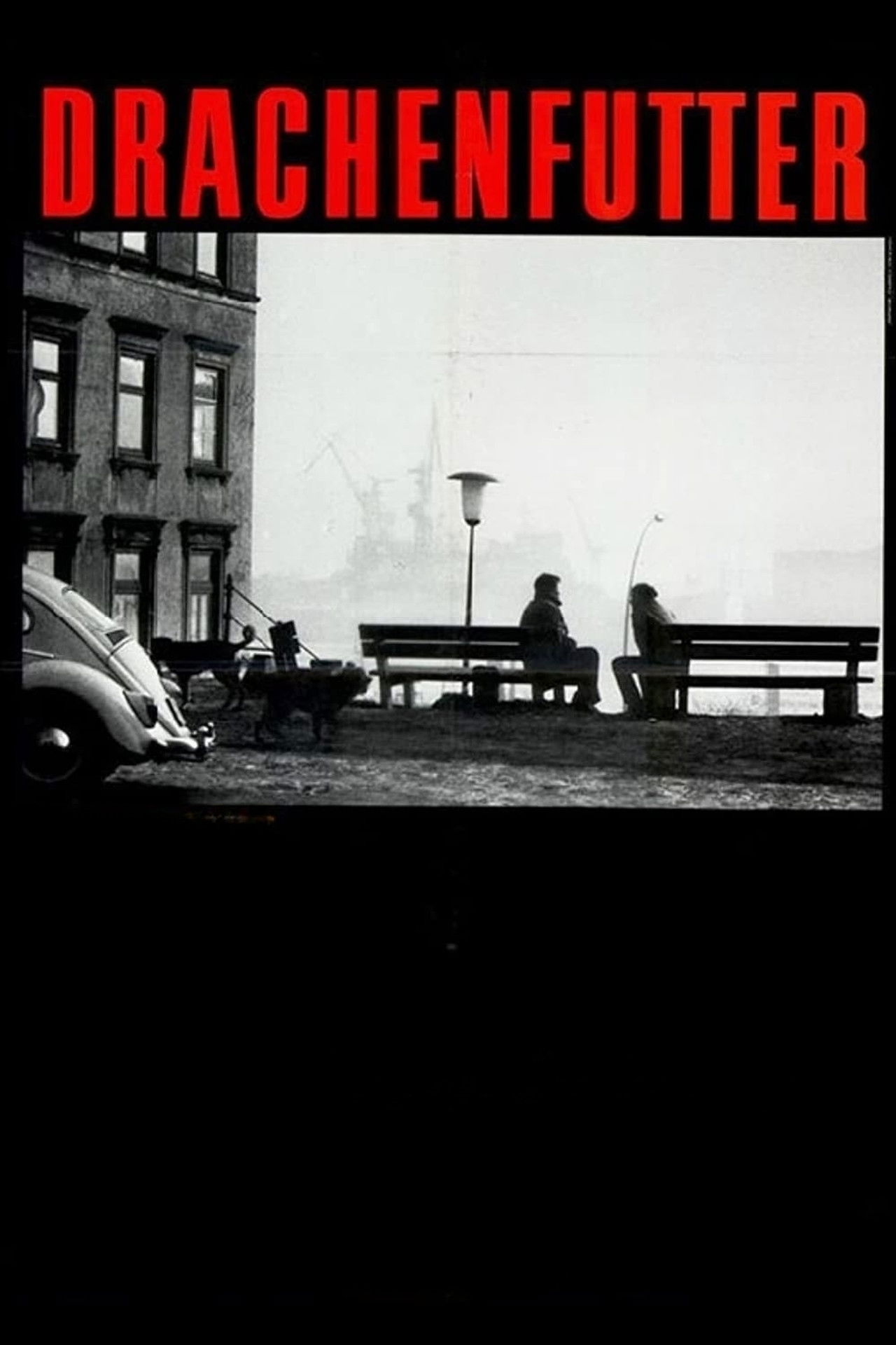 Dragon Chow Backdrop