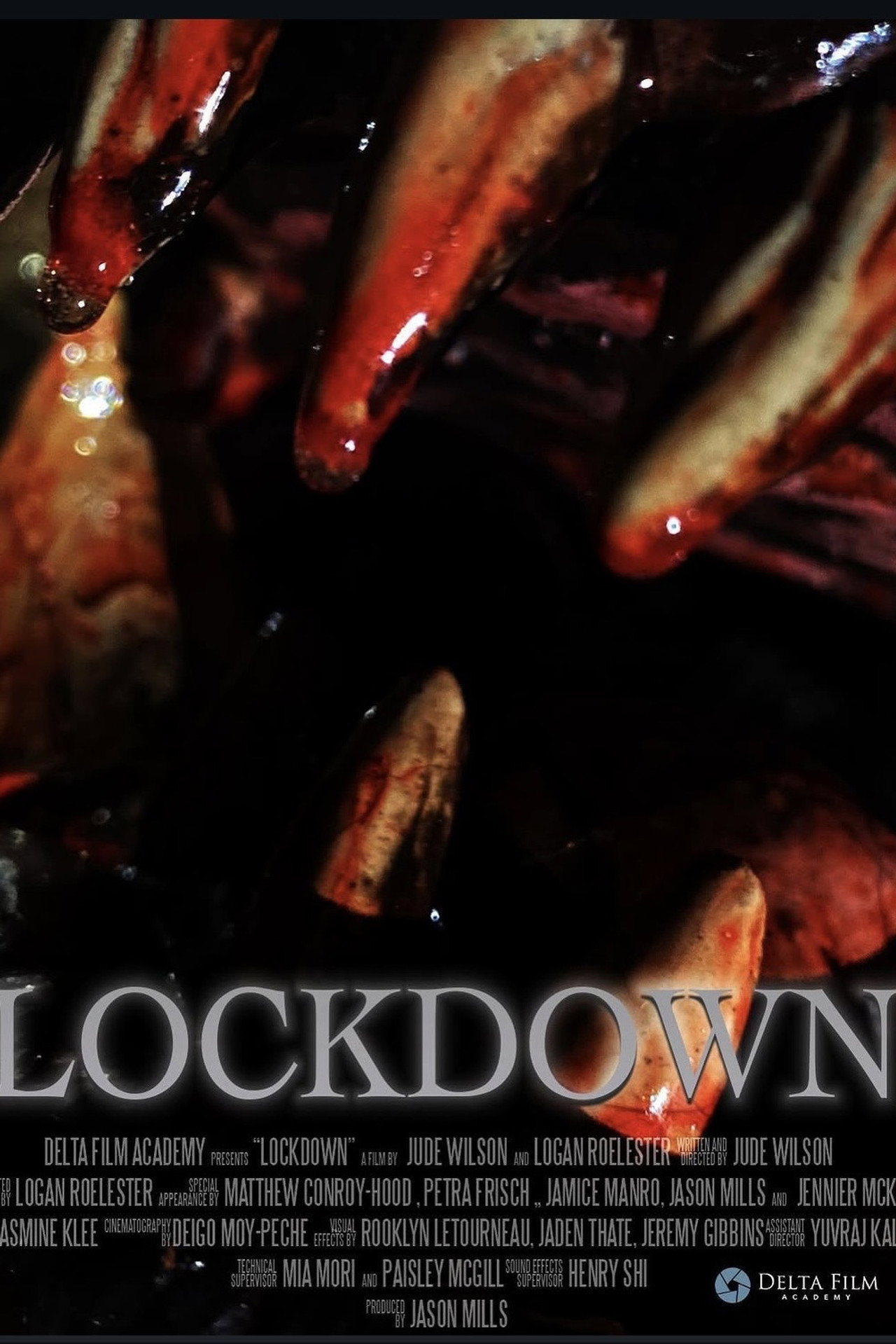 Lockdown filmaffisch