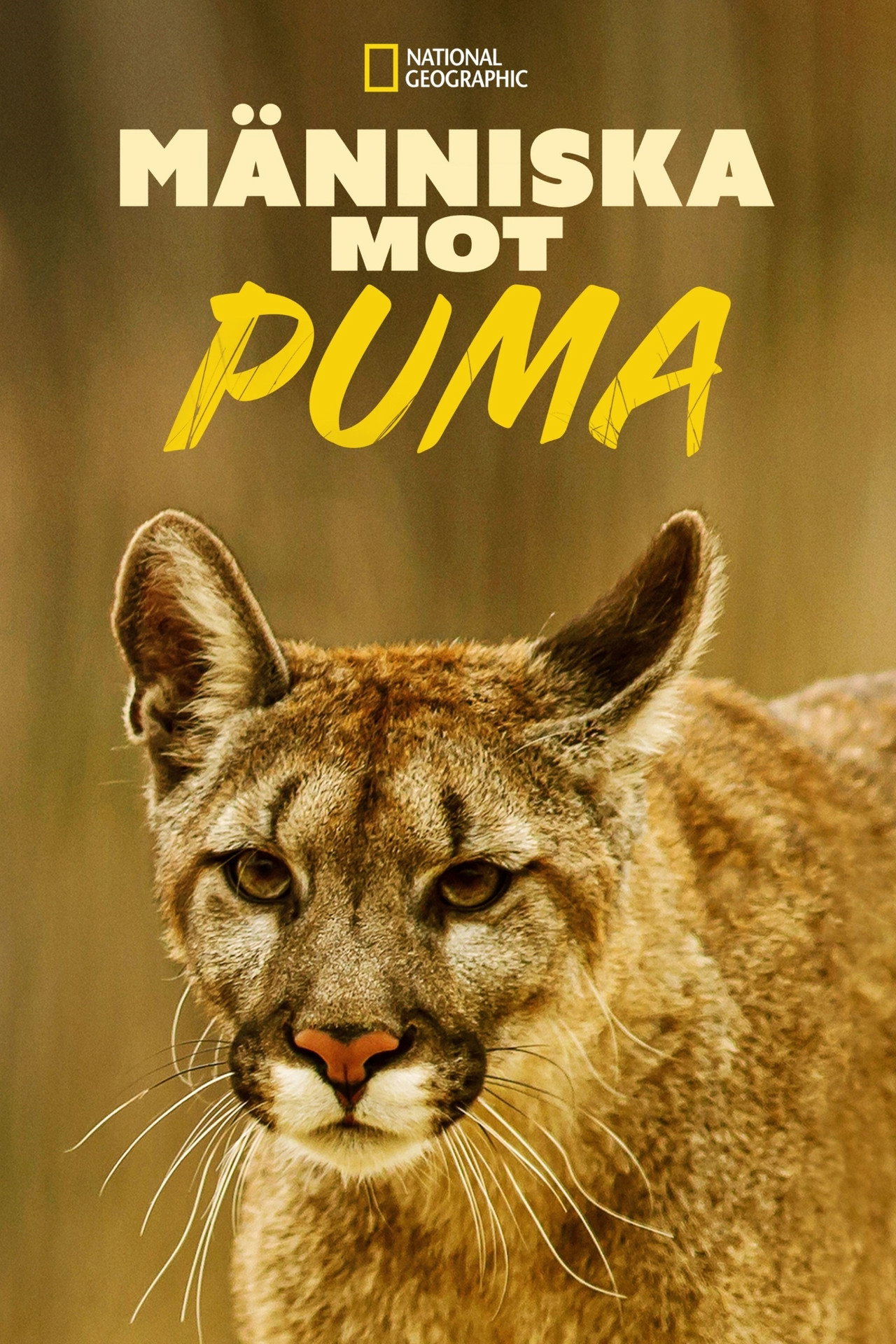 Man Vs. Puma filmaffisch