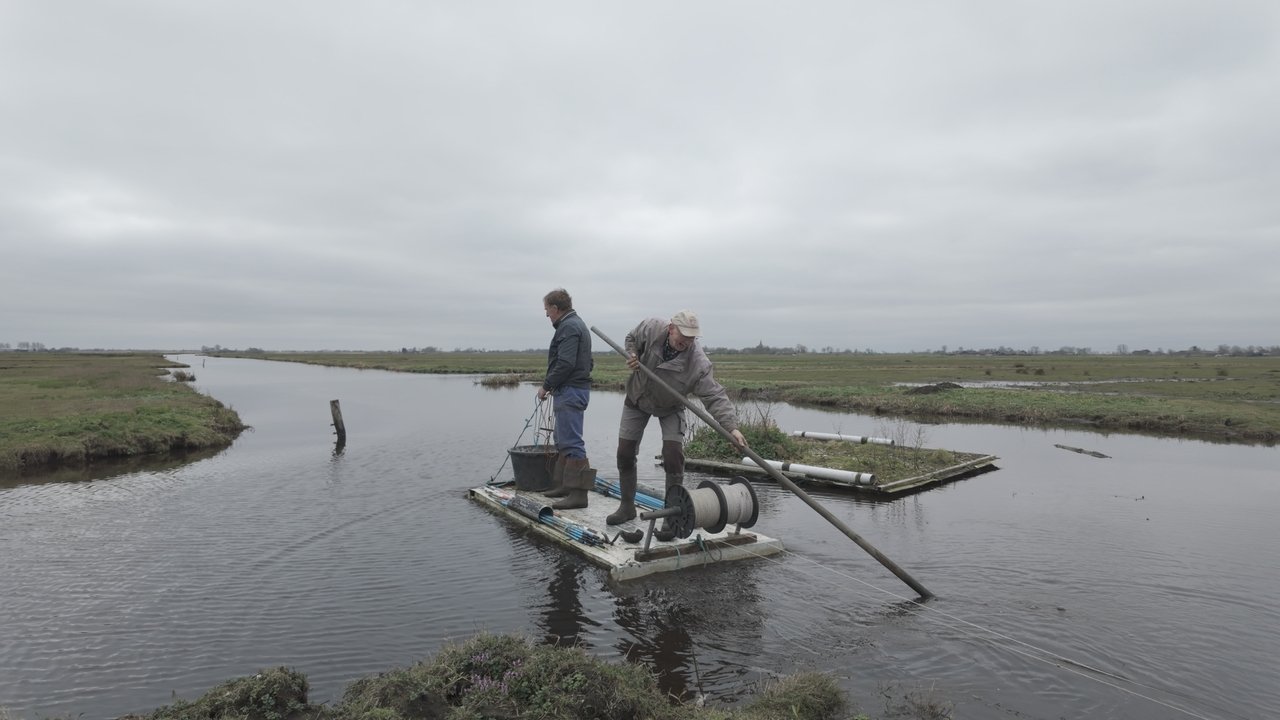 Hoop in de Hoep 2025