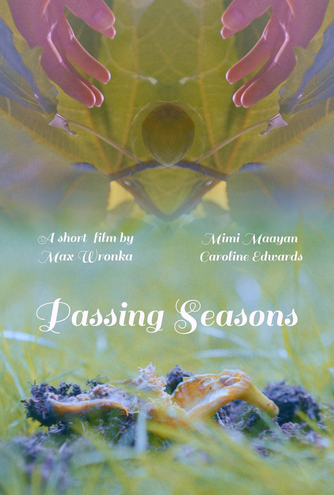Passing Seasons poster