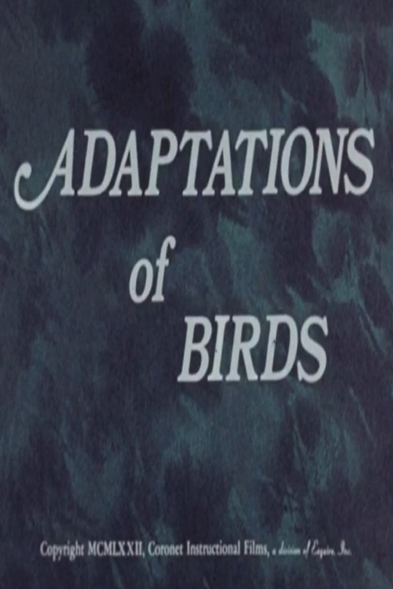 Adaptations of Birds poster
