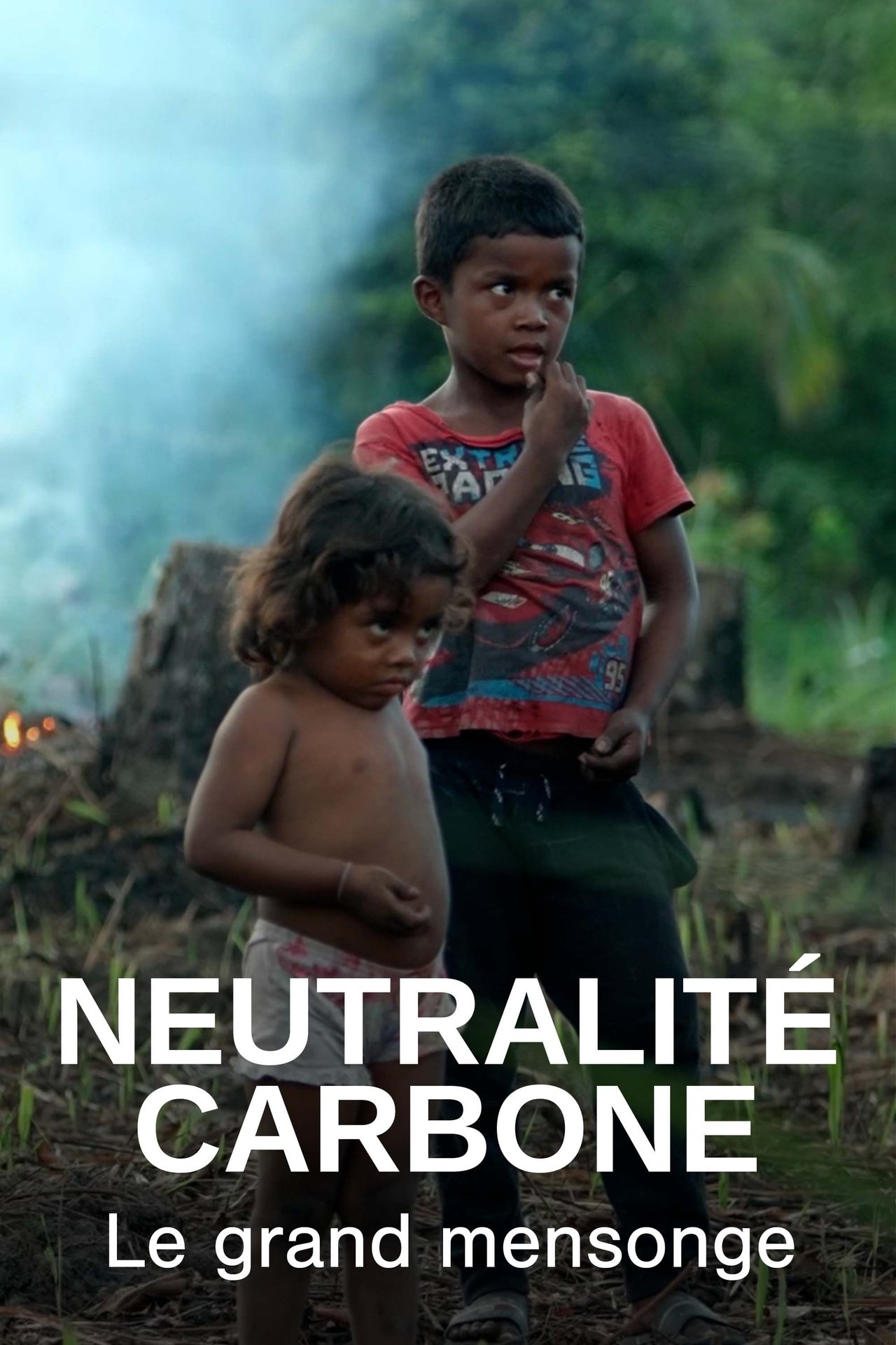 Neutralité carbone, le grand mensonge poster