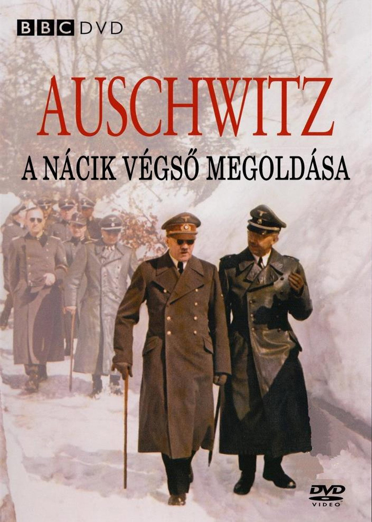 Auschwitz - A nácik végső megoldása – plakát 5