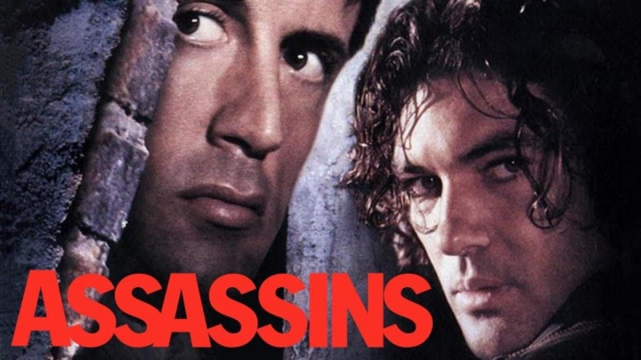 Assassins (1995)