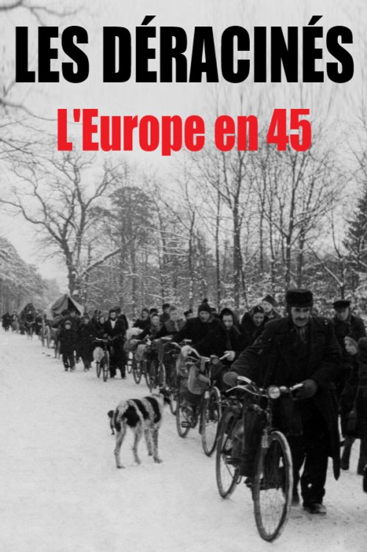 Les déracinés - L'Europe en 45 filmaffisch