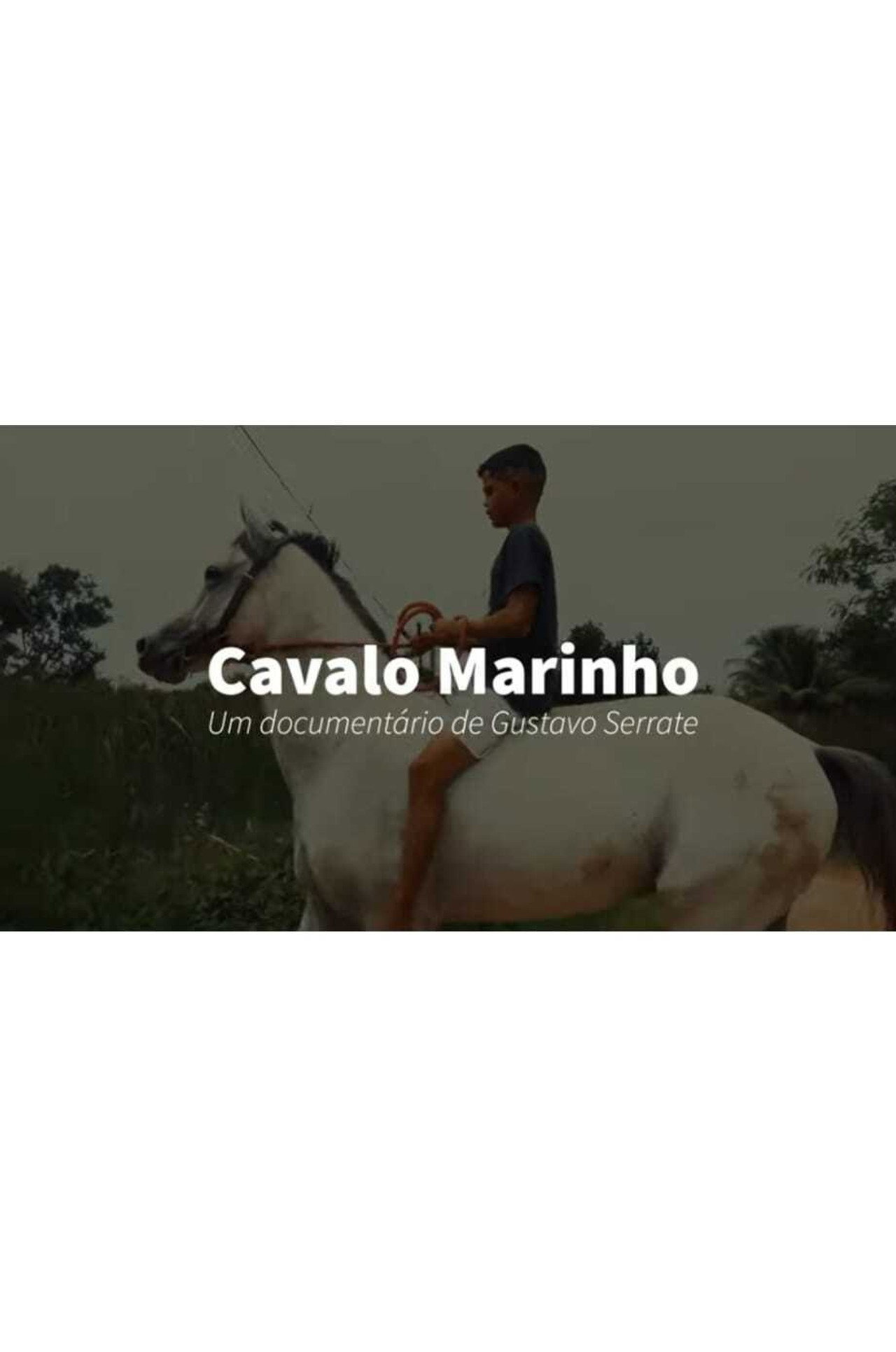 Cavalo Marinho filmaffisch