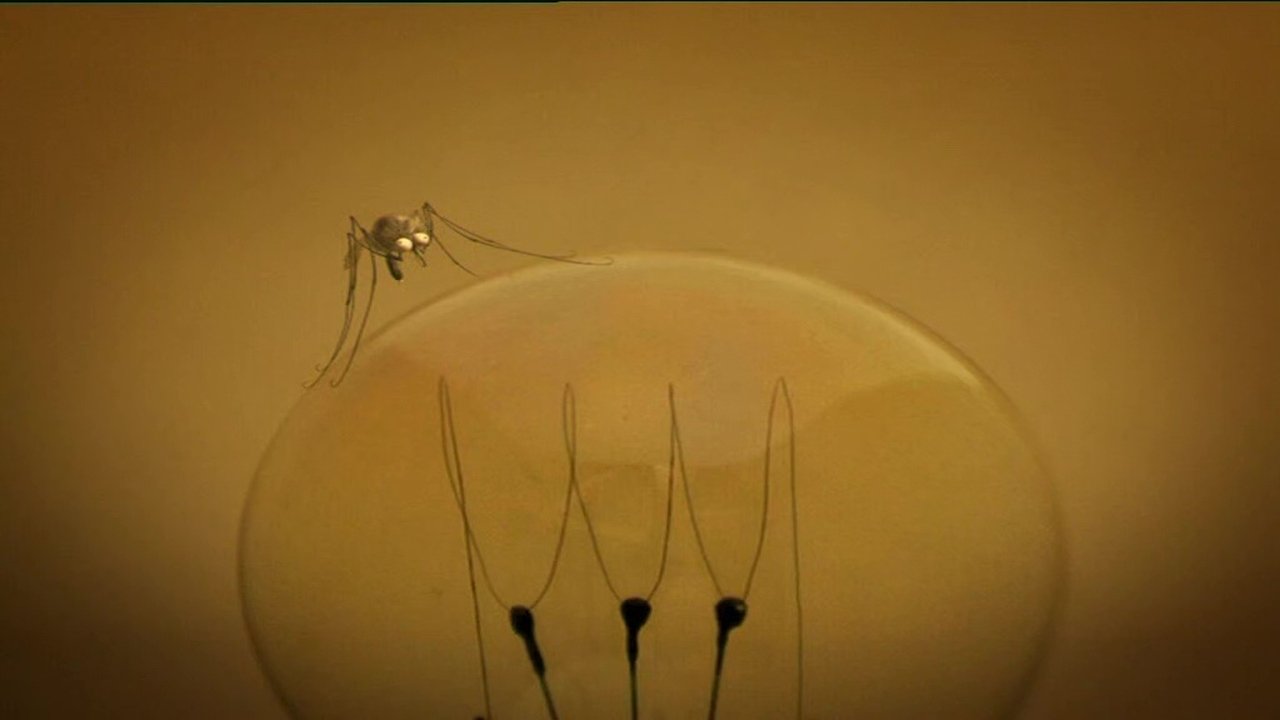 The Mosquito
