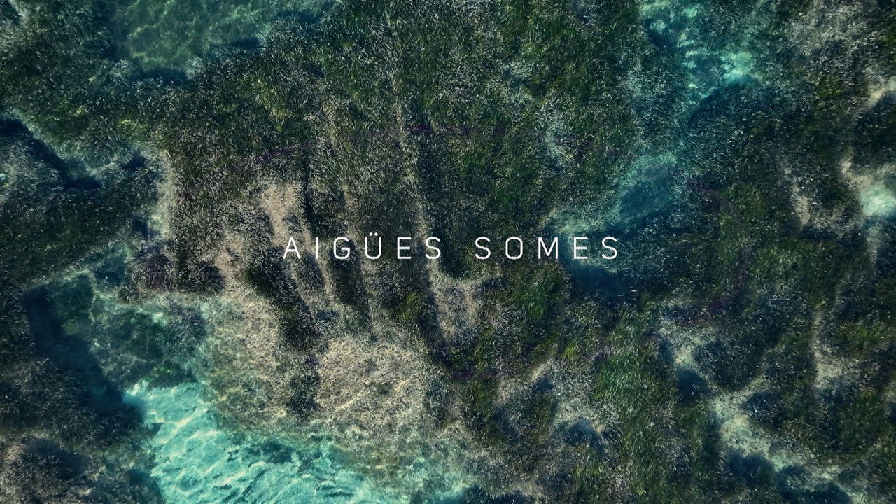 Arxipèlag blau — Épisode 2