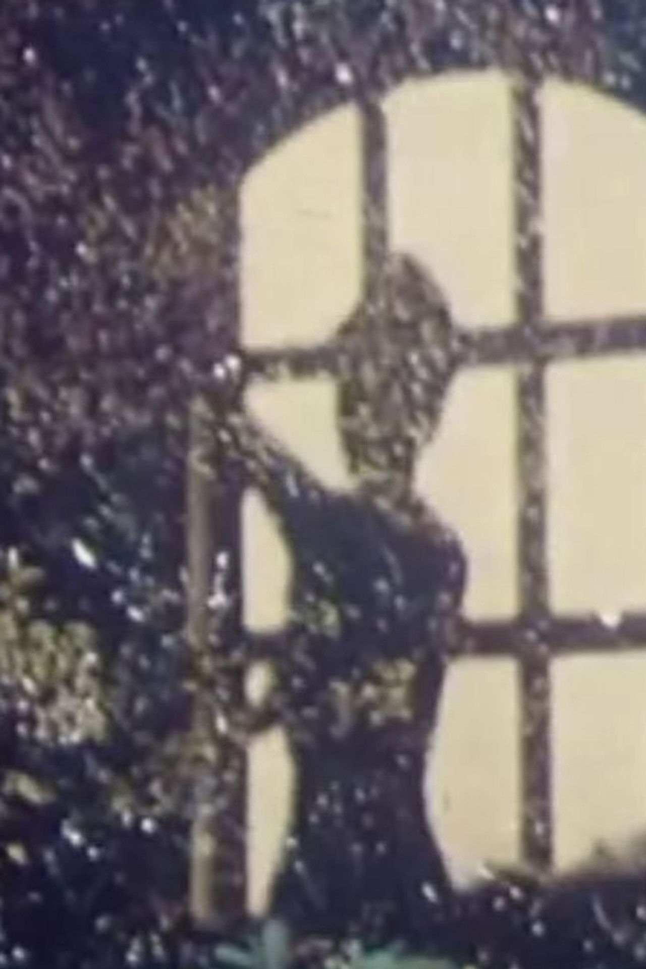 The Portrait of Cordua Backdrop