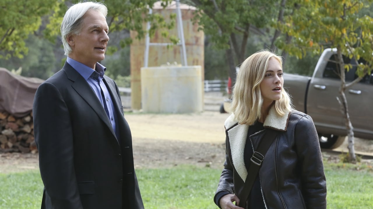 NCIS - Season 13 Episode 10 : Blood Brothers