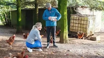 Sæt pris på Danmark - Season 9 Episode 2 : Episode 2