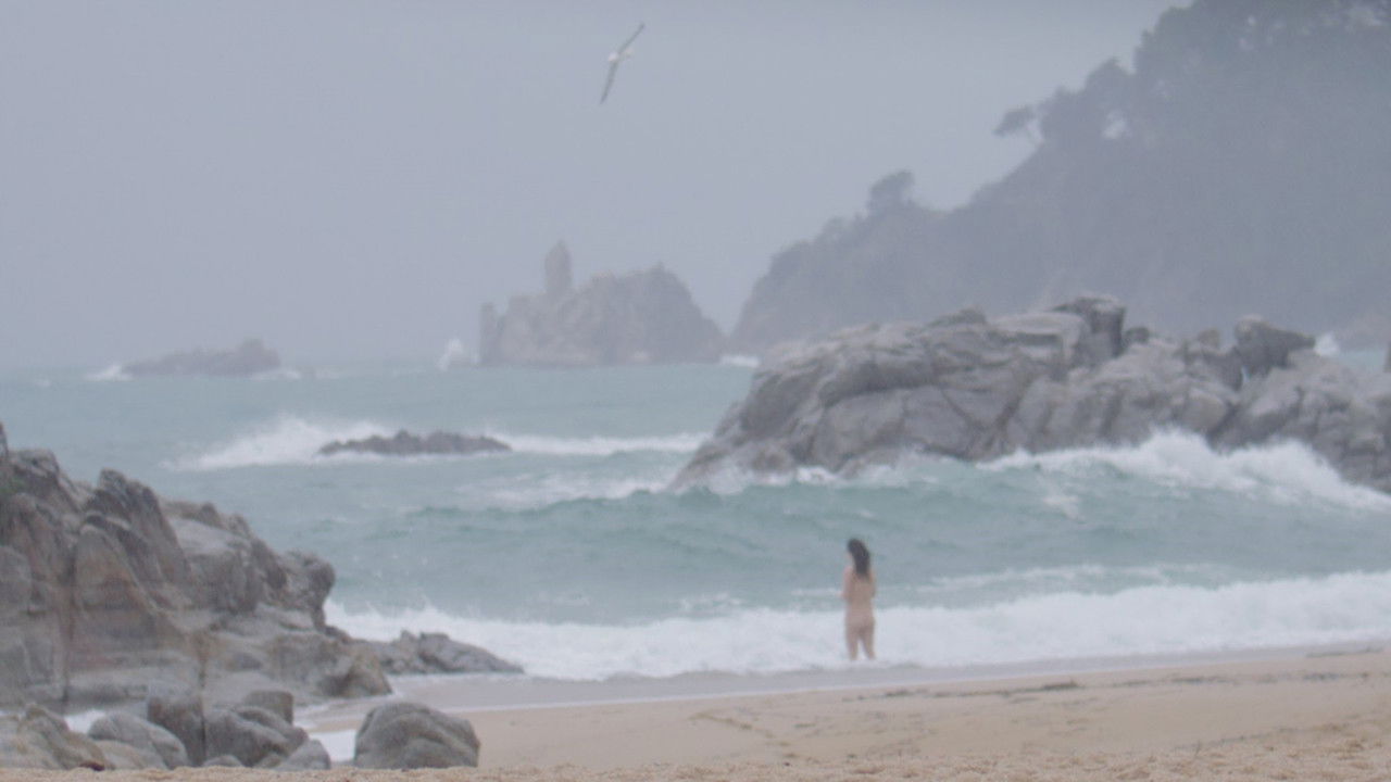 Documento 19: A Coruña