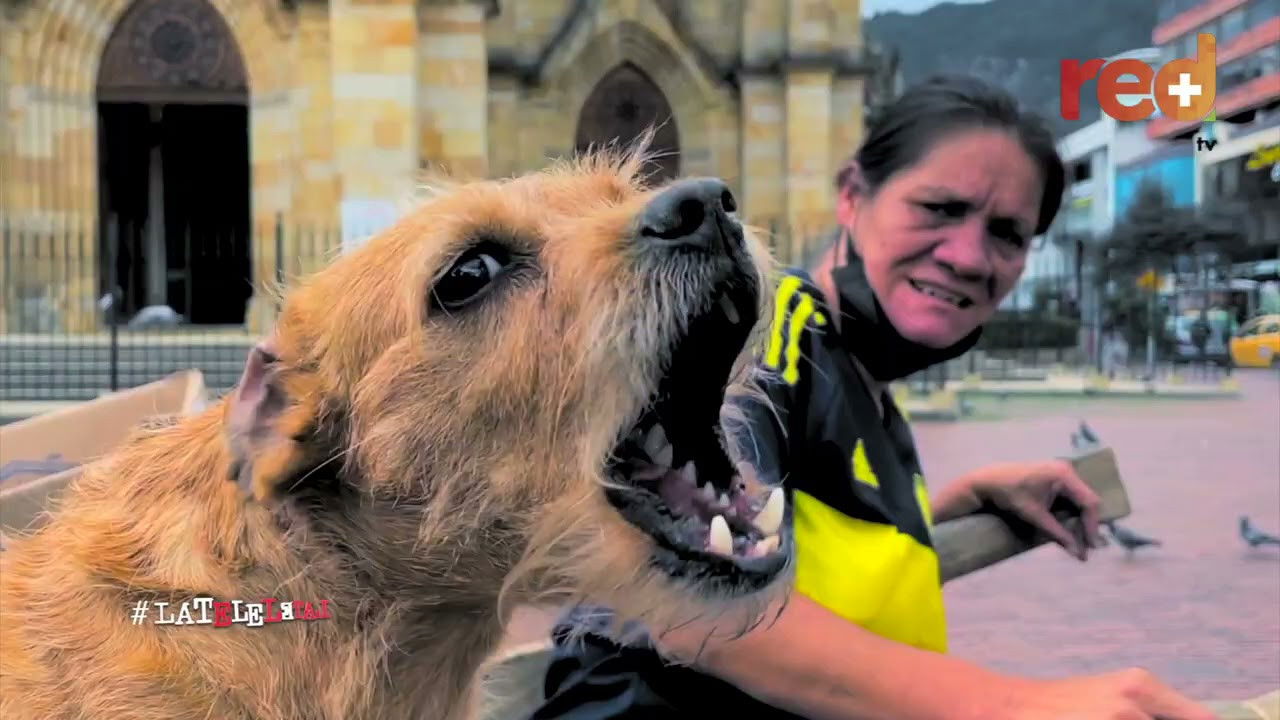 La Tele Letal — Épisode 7
