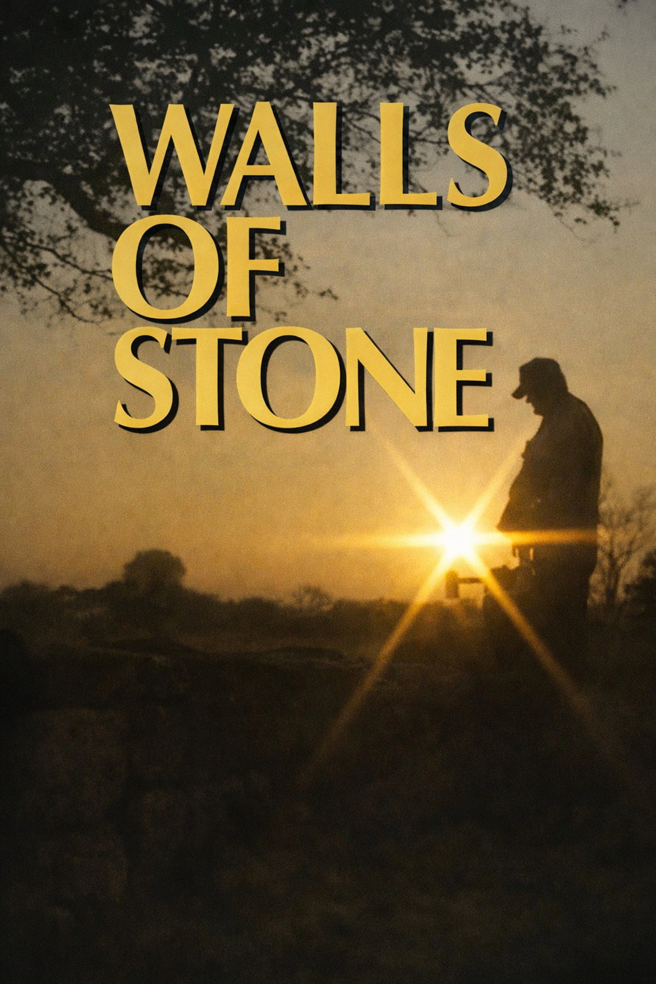 Walls of Stone: How to Build Drystone Walls and Rock Fences Backdrop