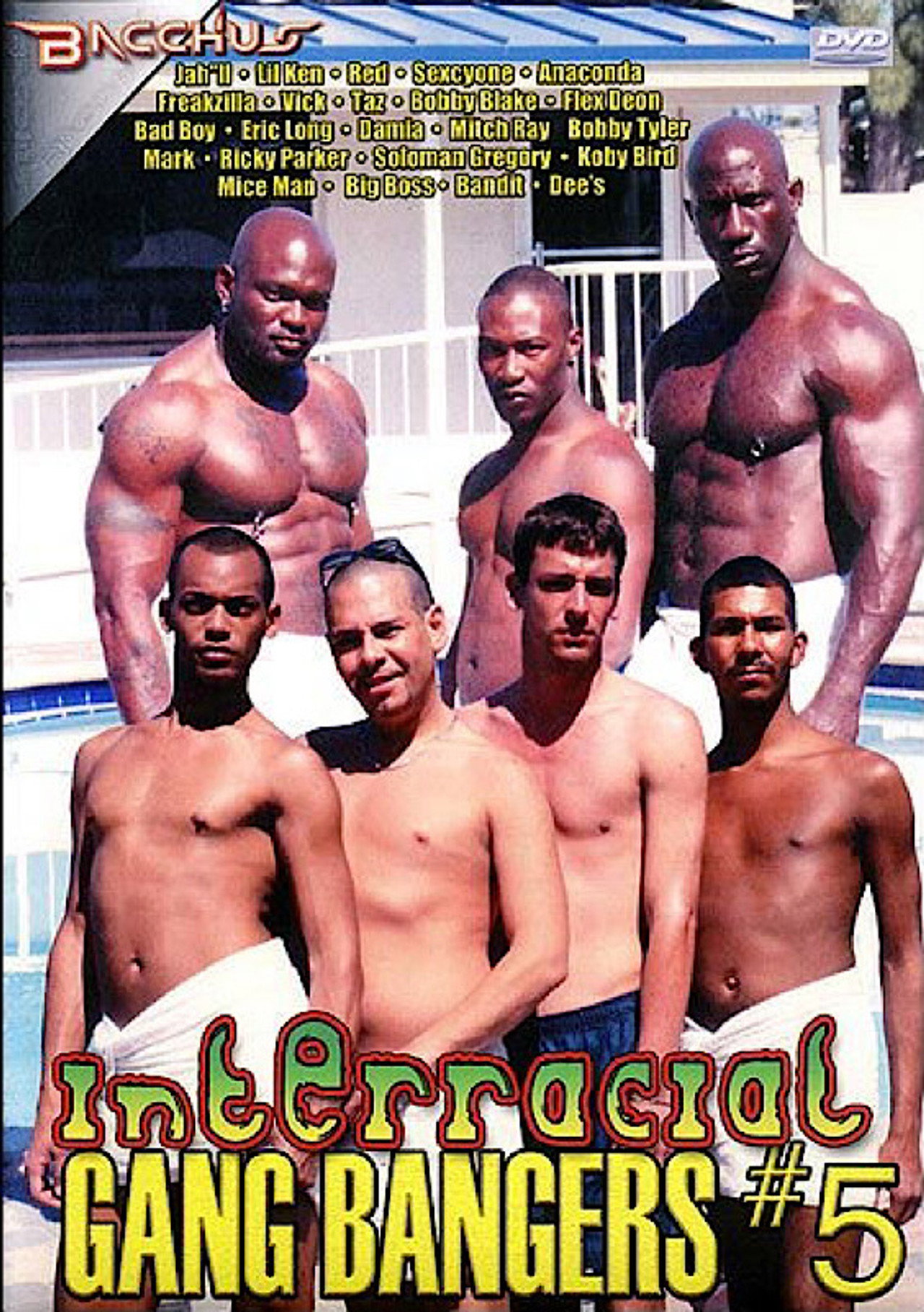 Interracial Gang Bangers 5 filmaffisch