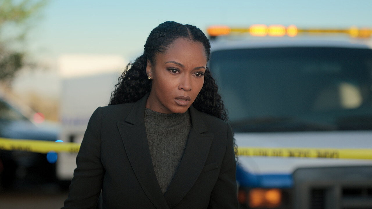 Image The Lincoln Lawyer