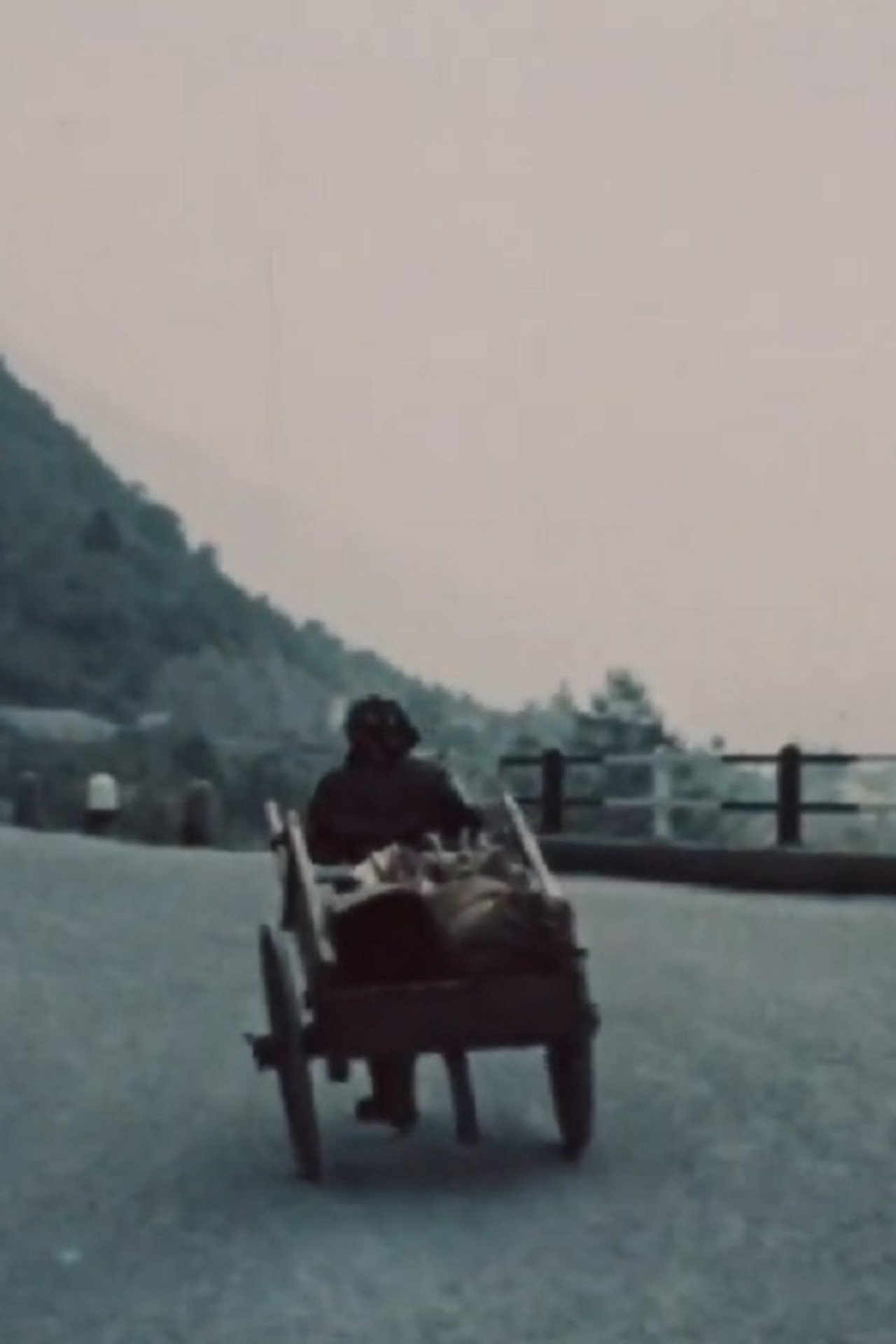 Le nerte filmaffisch