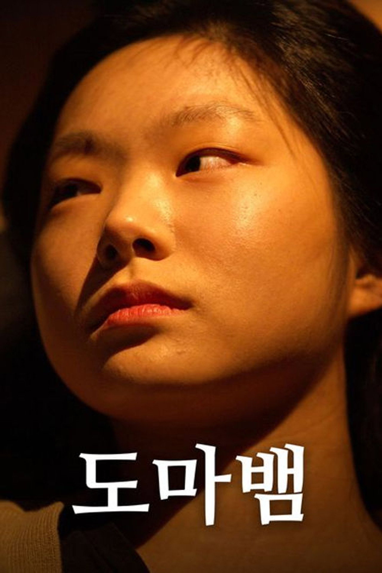 도마뱀 poster