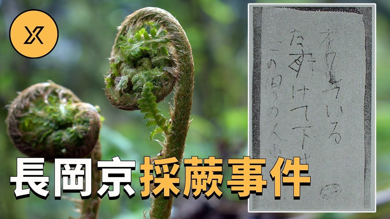 X调查 - Season 1 Episode 91 : Episode 91