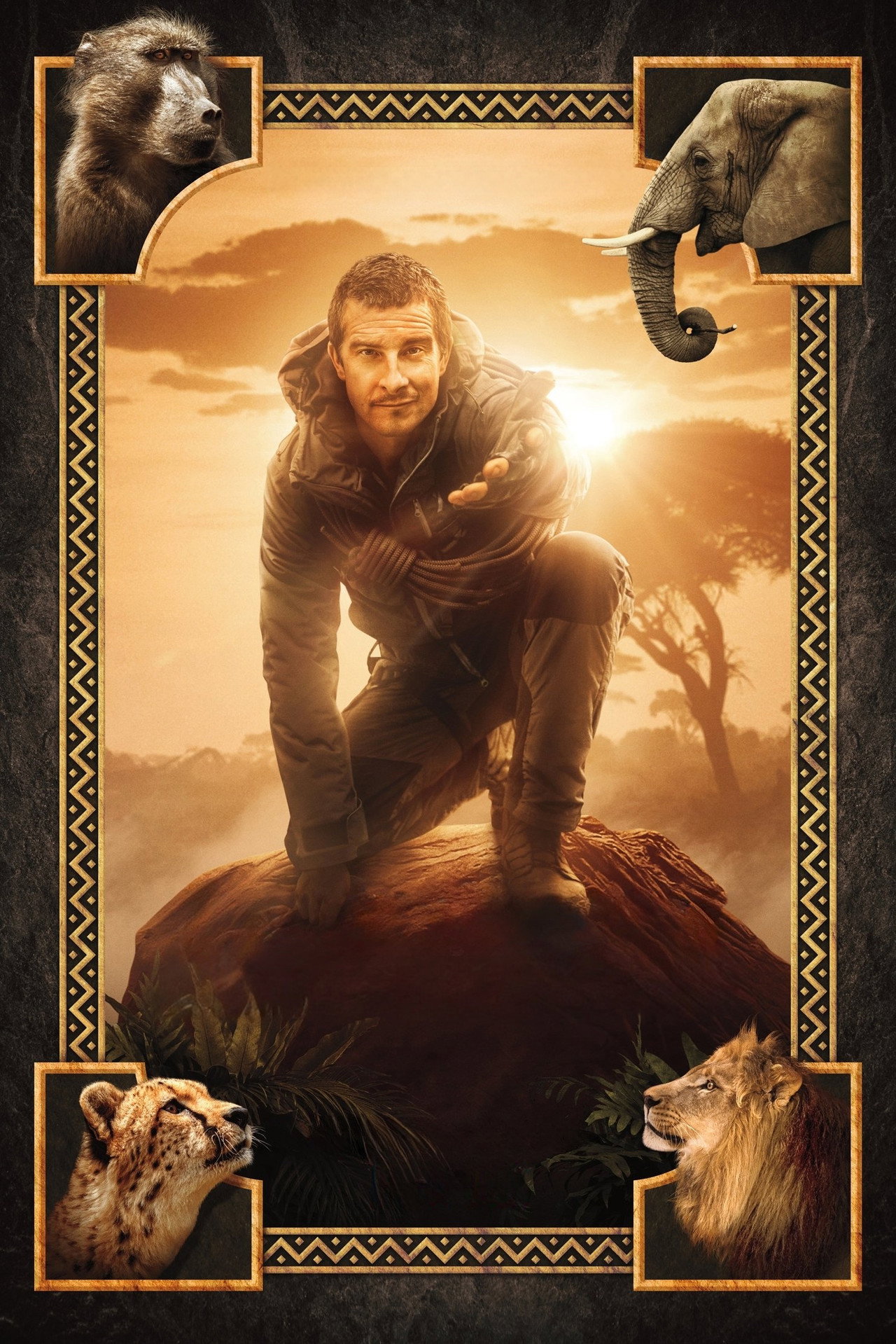 Állatok szabadon: Segíts Bear Gryllsnek – plakát 5