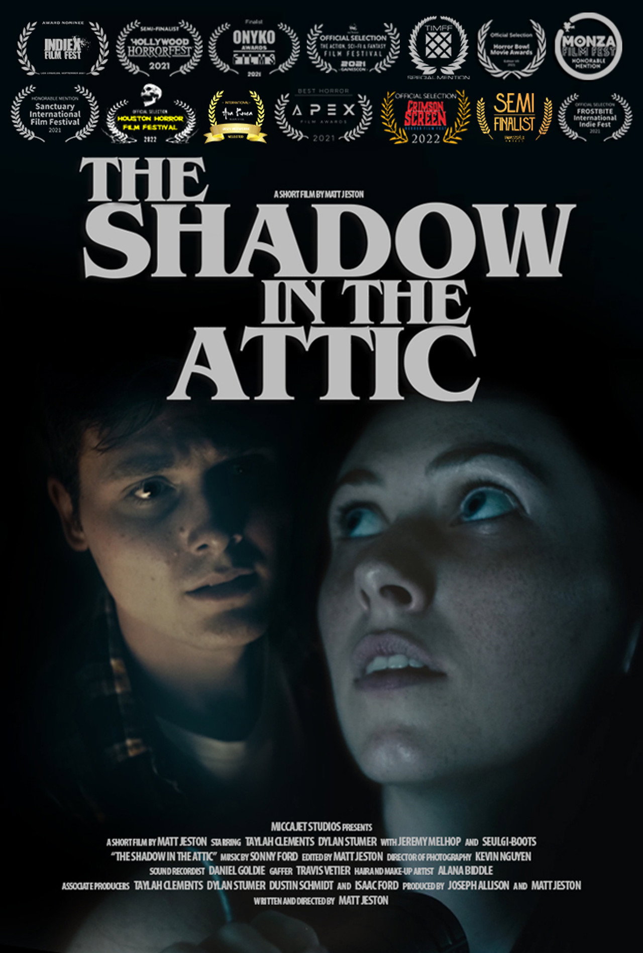 The Shadow in the Attic Backdrop