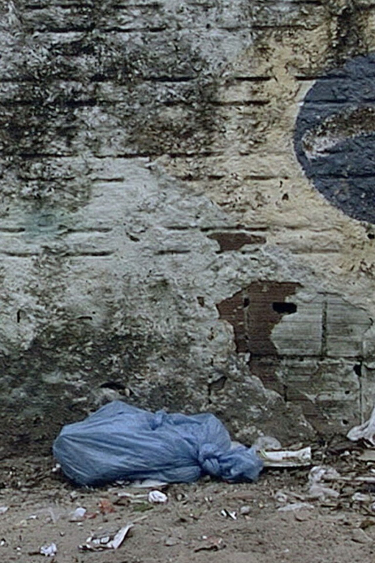 O Saco Azul Backdrop