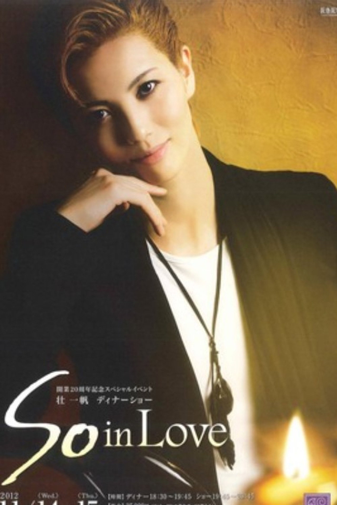 壮一帆ディナーショー「So in Love」 filmaffisch