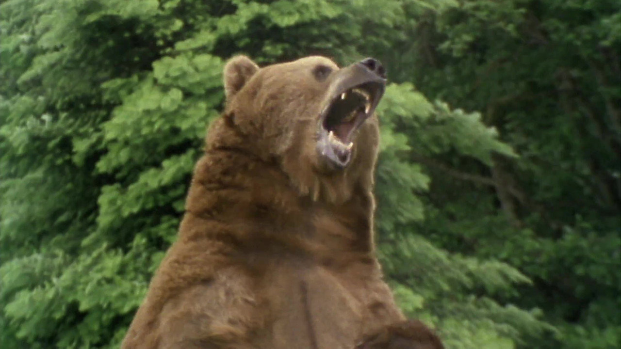 Wild Ones — Épisode 5