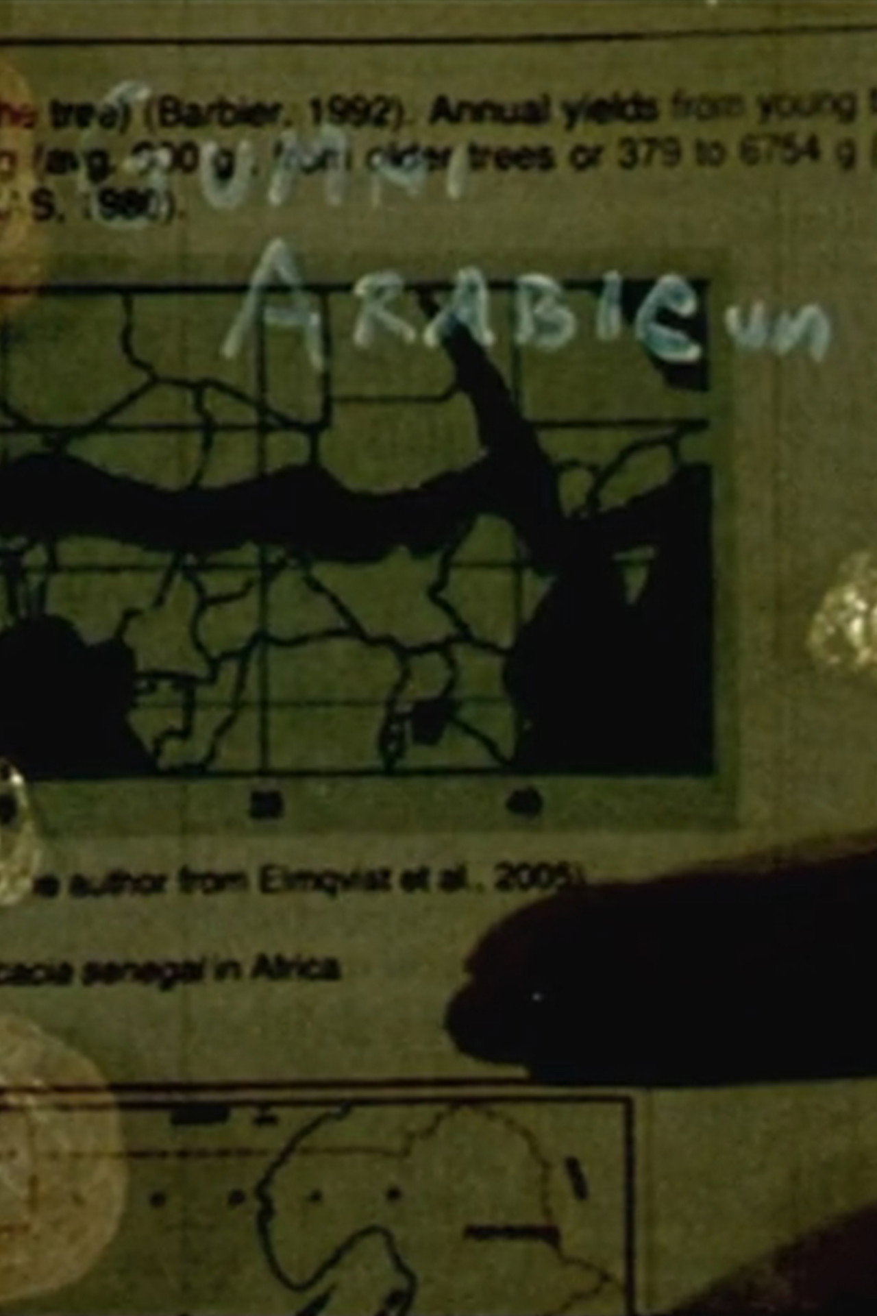 Gummi Arabicum filmaffisch