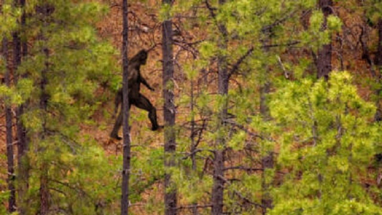 The Proof Is Out There: Skinwalker Edition — Épisode 8