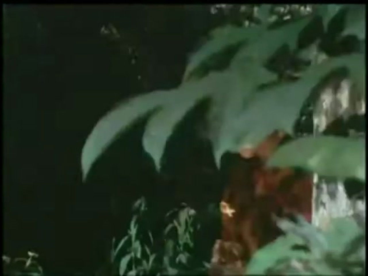 Kaiketsu Lion-Maru — Épisode 20