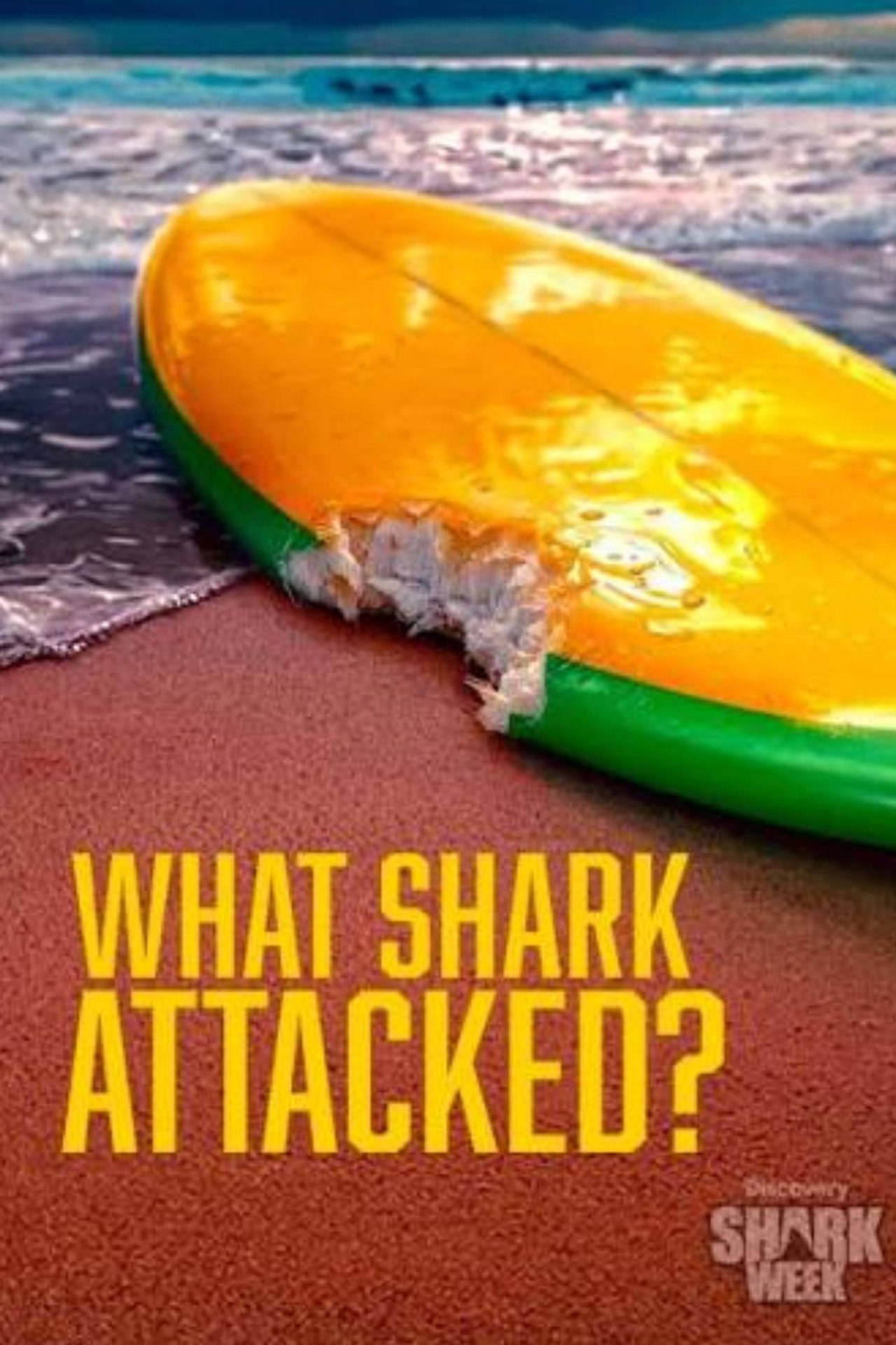 What Shark Attacked? Backdrop