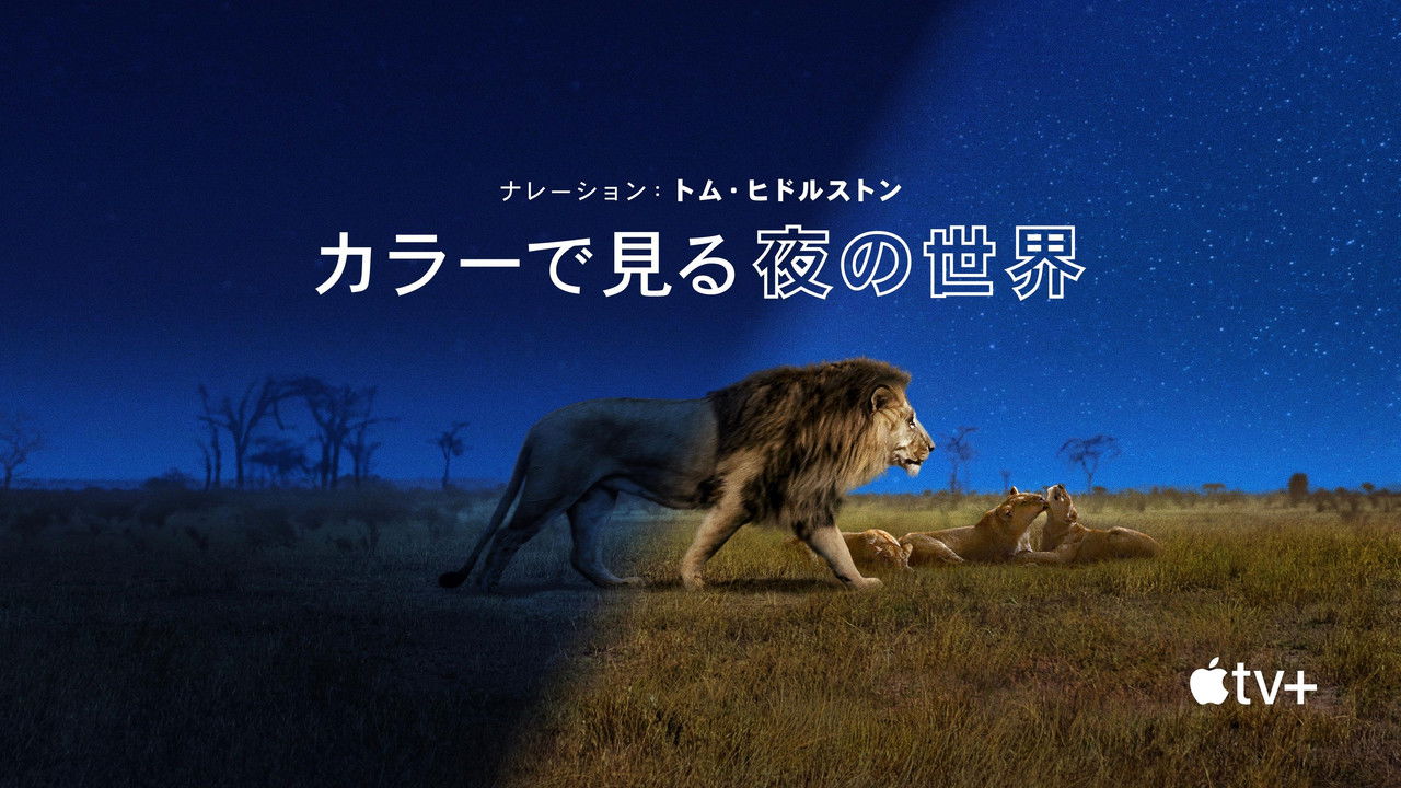 カラーで見る夜の世界