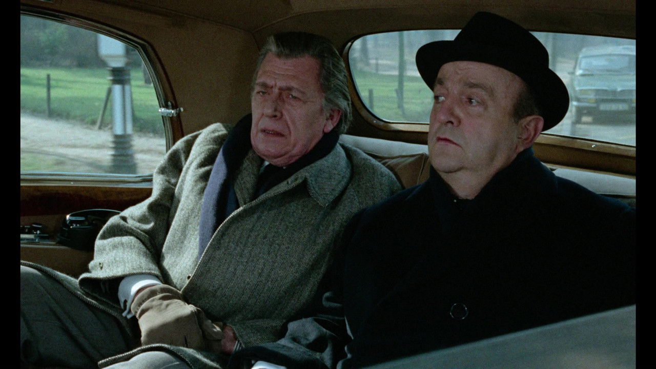 Everybody He Is Nice, Everybody He Is Beautiful backdrop