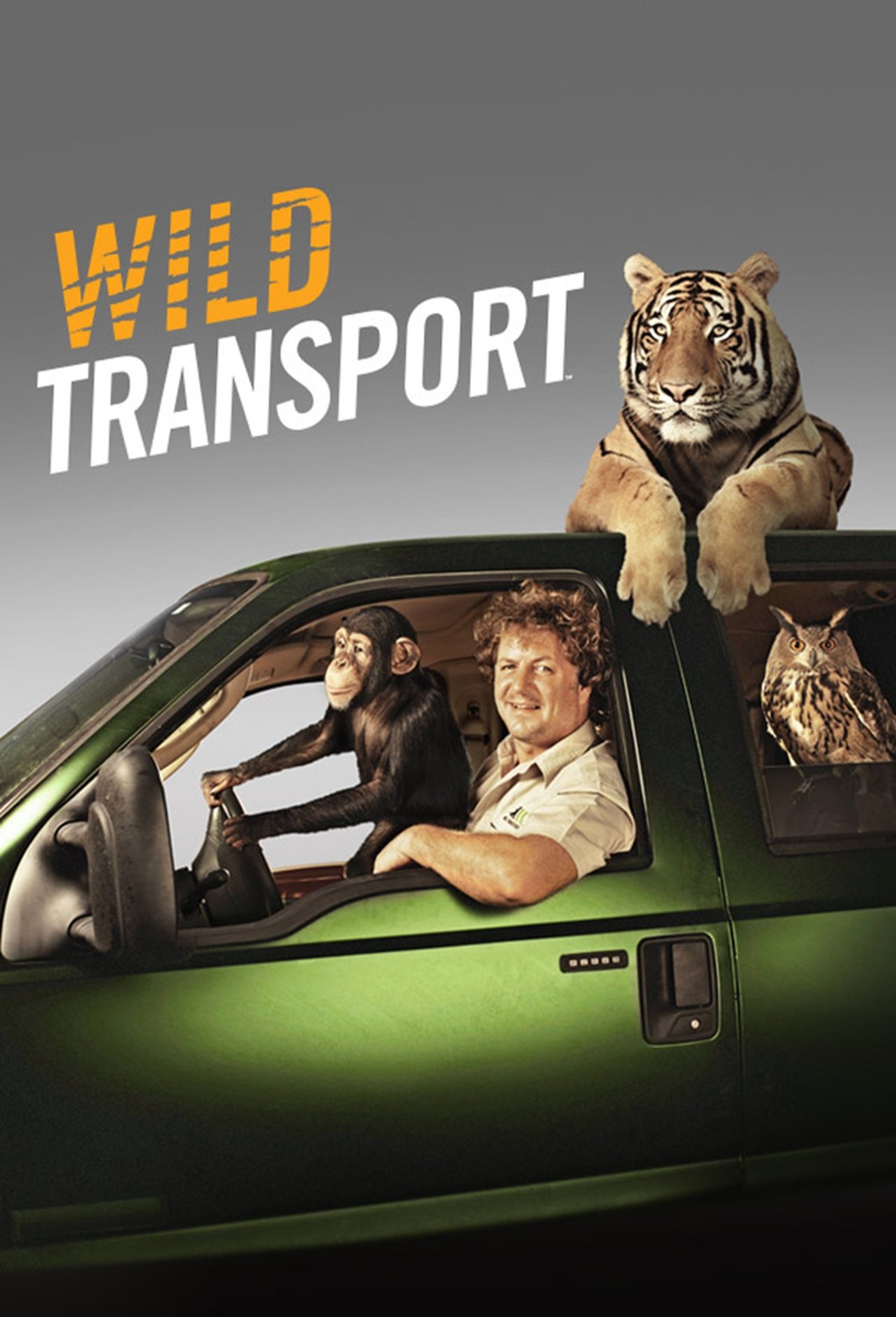 Poster Wild Transport