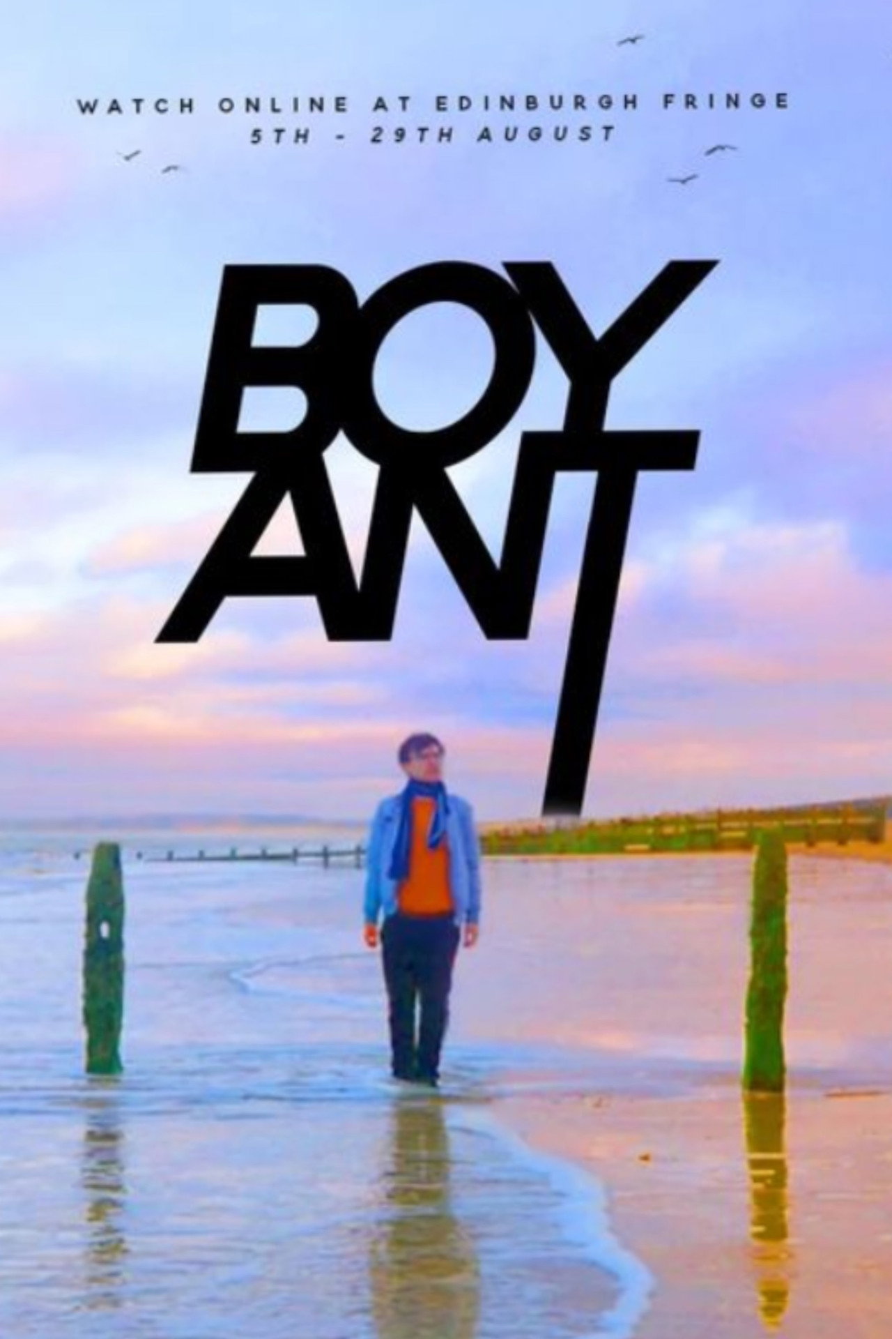 Boy Ant filmaffisch