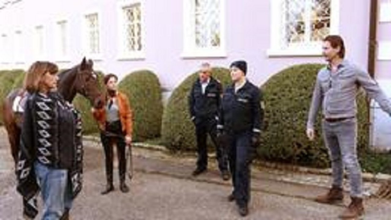 WaPo Bodensee - Season 6 Episode 8 : Episode 8