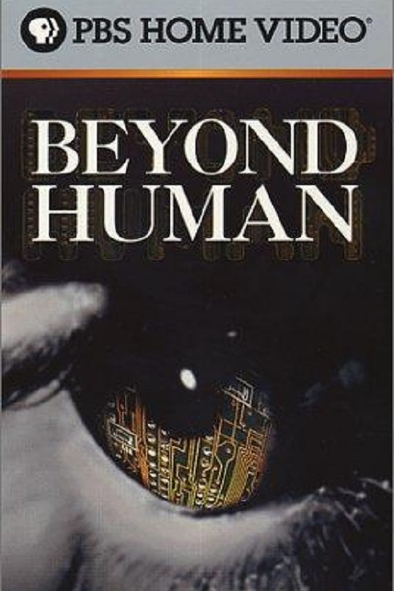 Beyond Human Backdrop