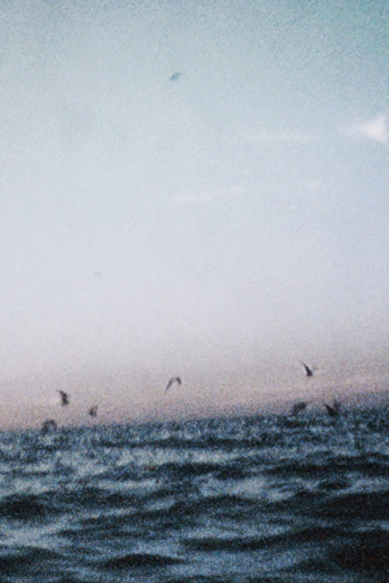 Ocean III