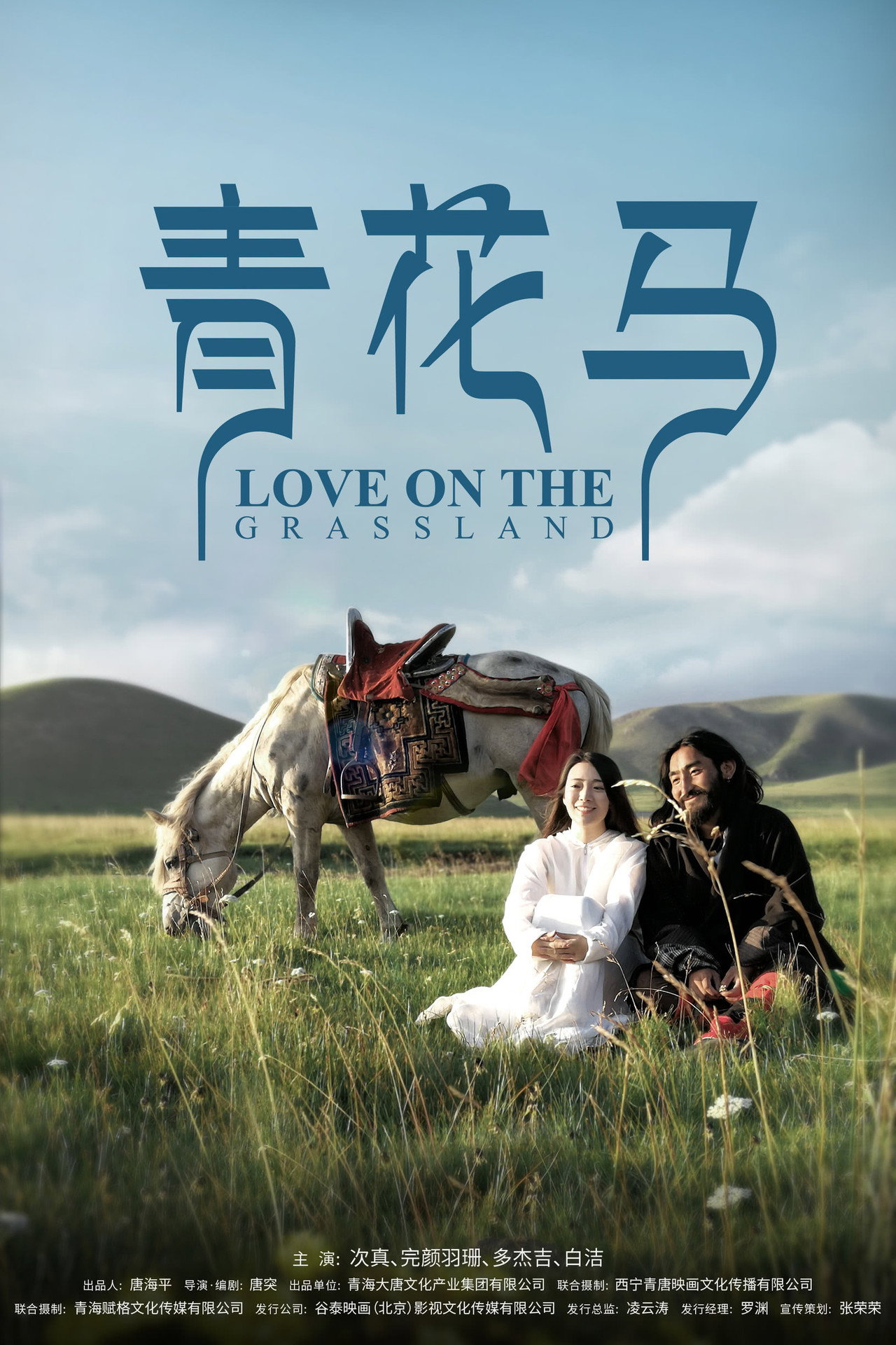 青花马 filmaffisch