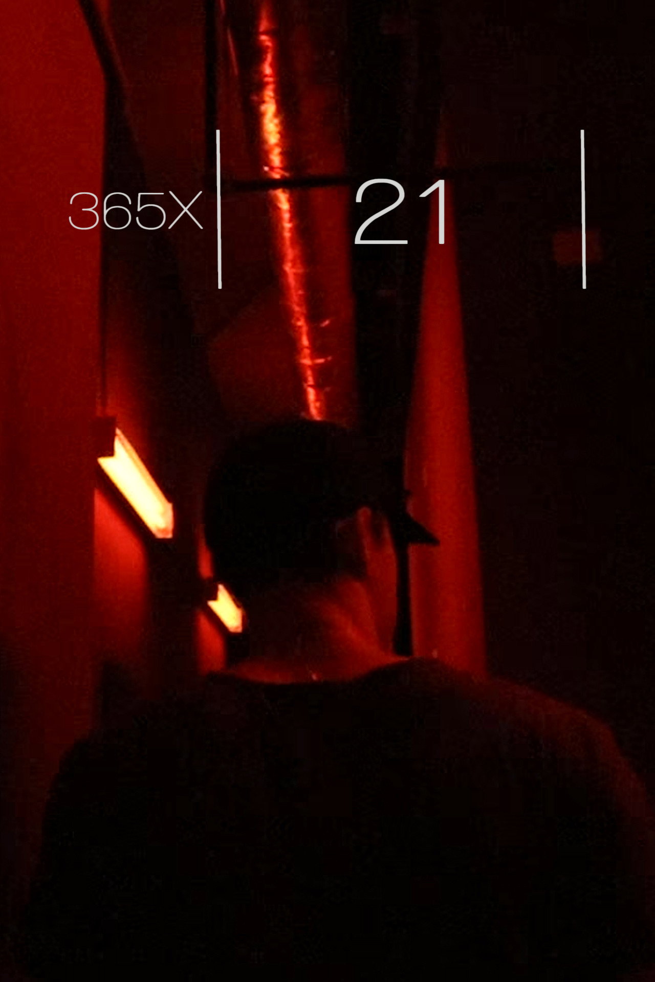 365x: 21