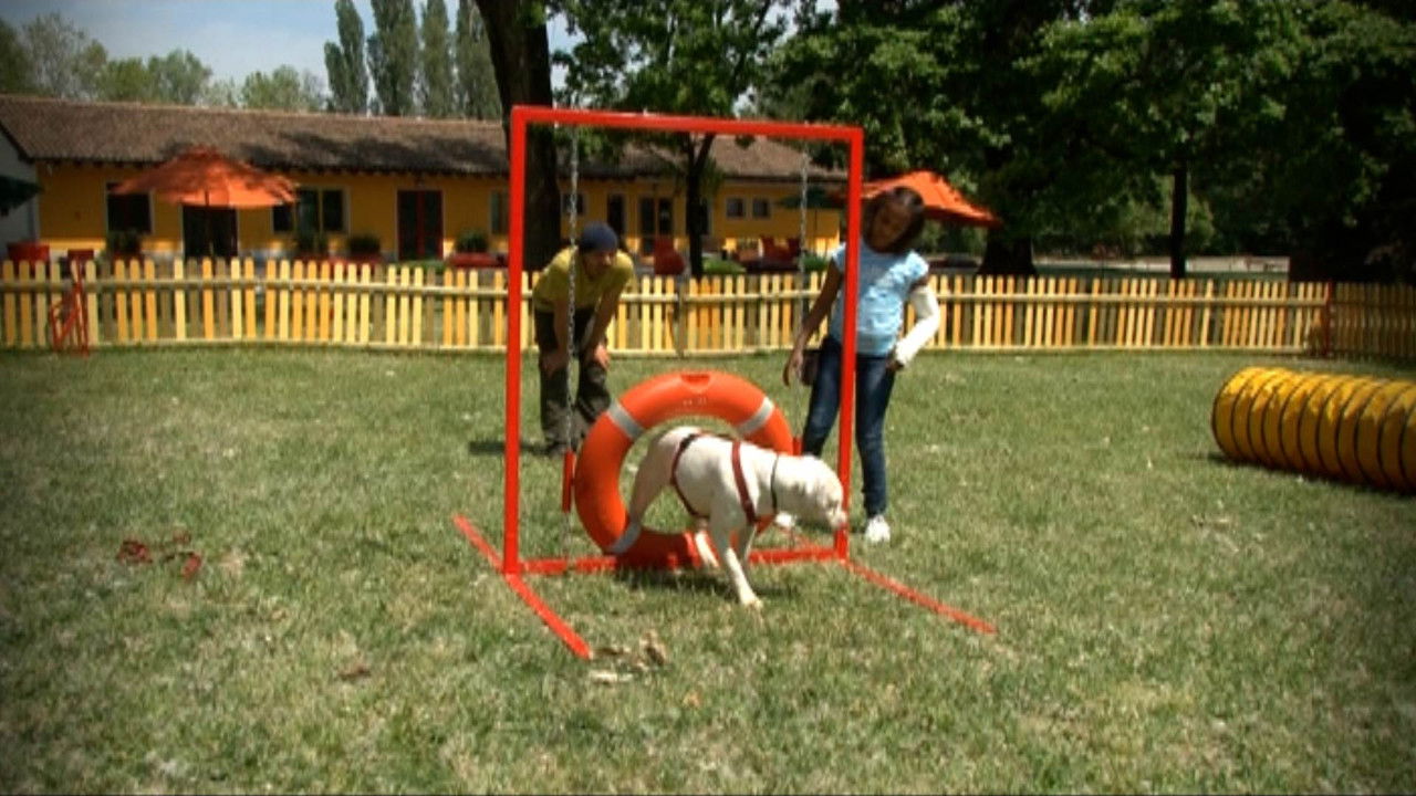 Missione cuccioli — Épisode 6