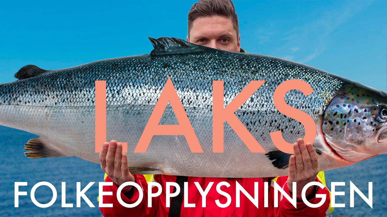 Folkeopplysningen — Épisode 2