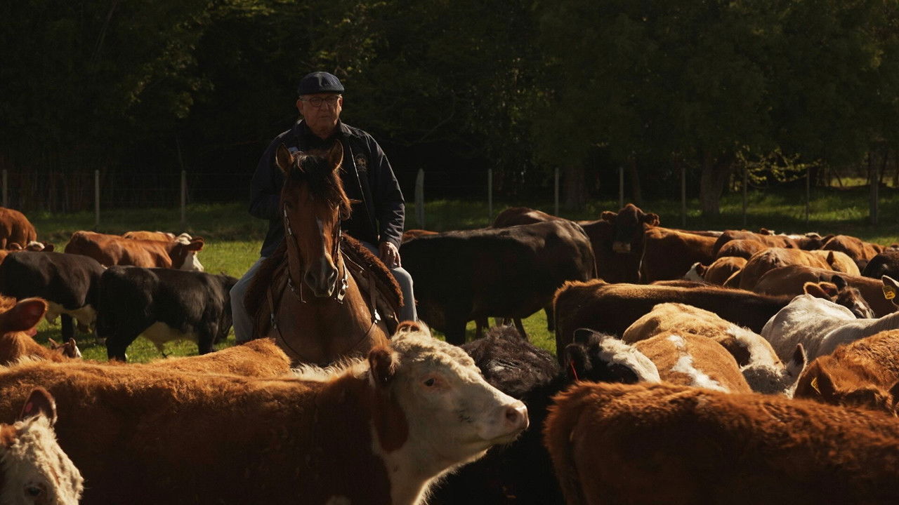 Galvão: Olha o Que Ele Fez — Épisode 5