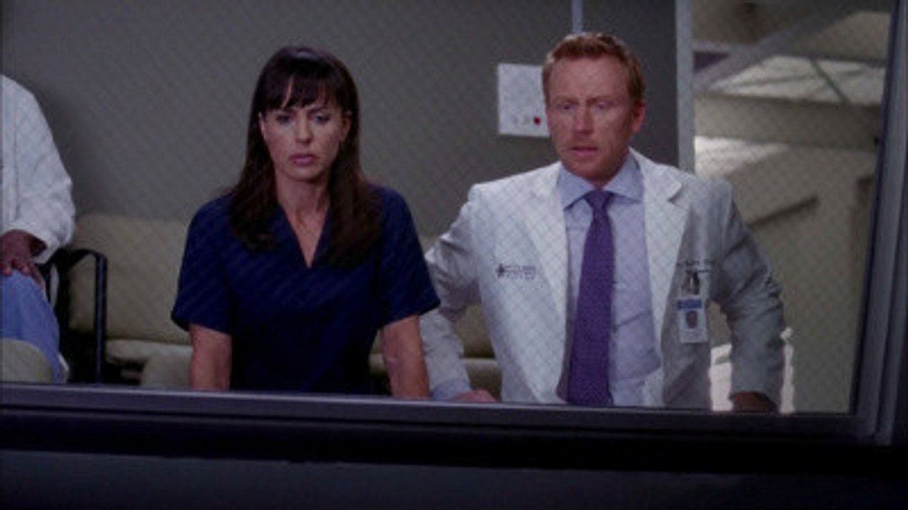Temporada 9 De Anatomia De Grey