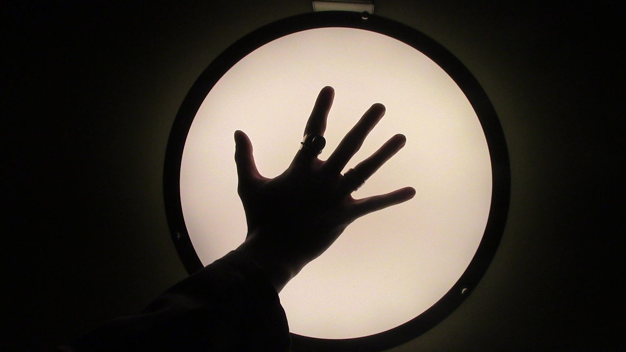 The Frankfurt Specimen: 2099